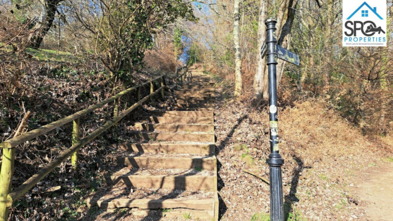 Pontypool Park Steps